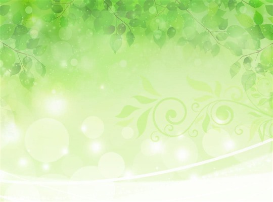 �R�`�s�ٌ̕�m | �R�`�{���@��������